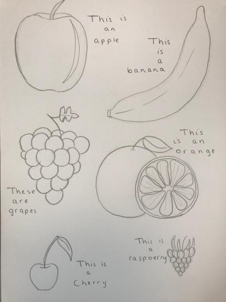fruit